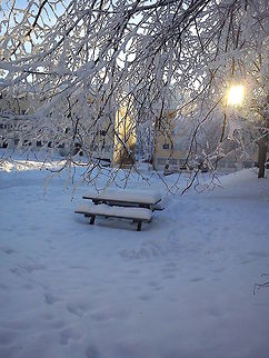 Winter paradise  Geotagged,Norway,frost,snow,winter