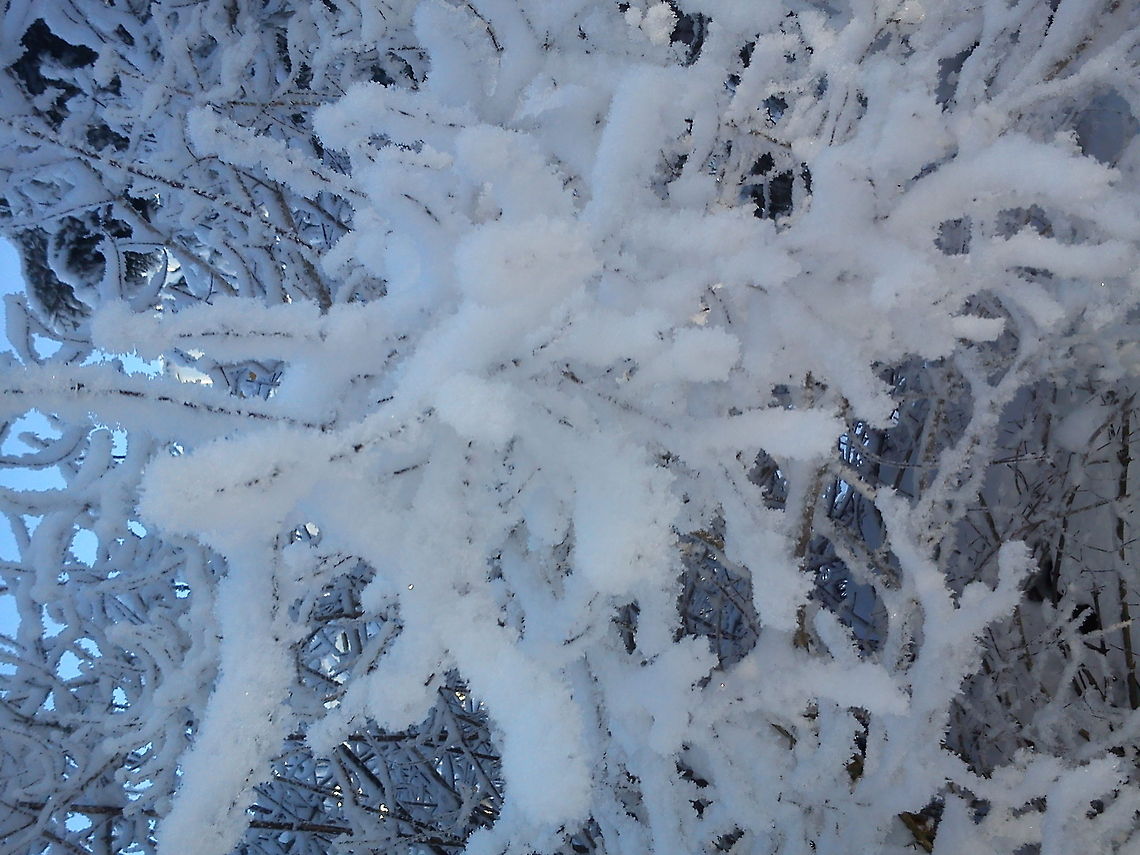 Scenic frost  Geotagged,Norway,frost,snow,winter