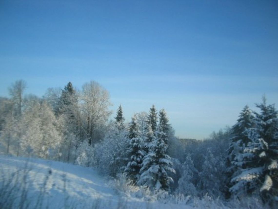 Winter in Norway  Europe,Landscapes,Norway,frost,landscape,nature,winter
