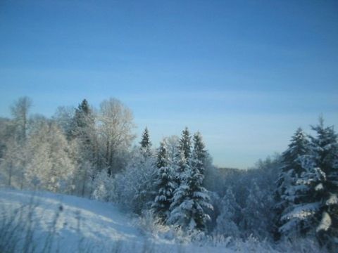 Winter in Norway  Europe,Landscapes,Norway,frost,landscape,nature,winter