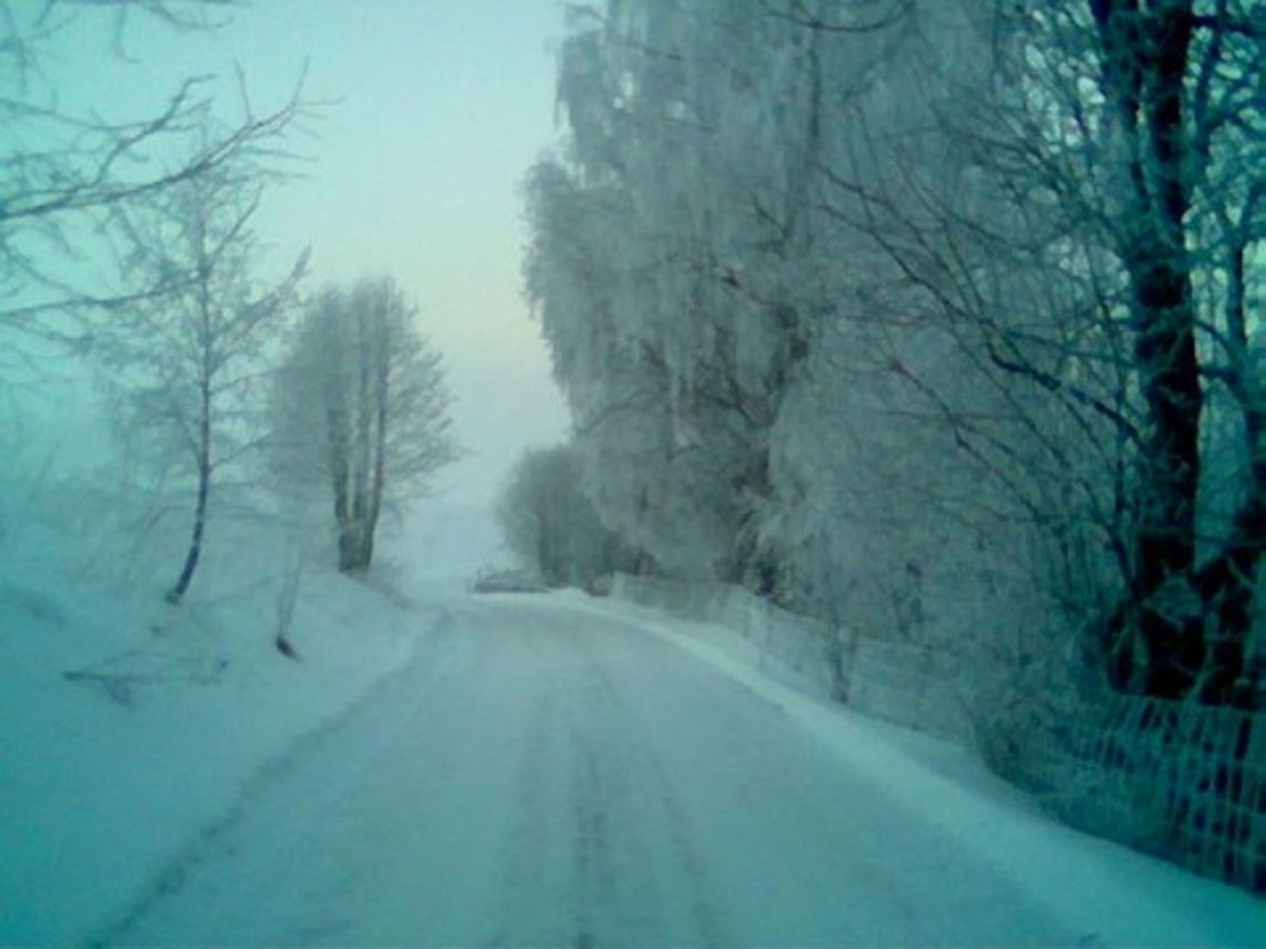 Frosty wonderland  Europe,Landscapes,Norway,frost,landscape,nature,snow,winter