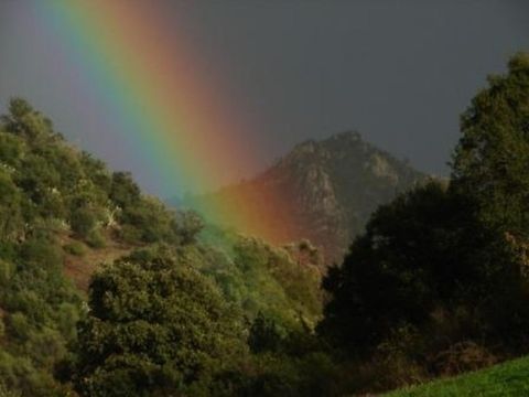 arc en ciel nature,wildwife,rainbow Rainbows