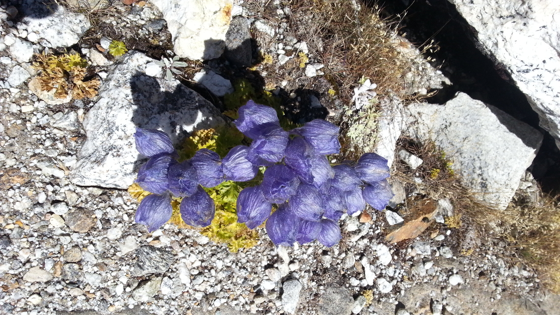 ?? Gokyo, Everest Fall,Geotagged,Nepal