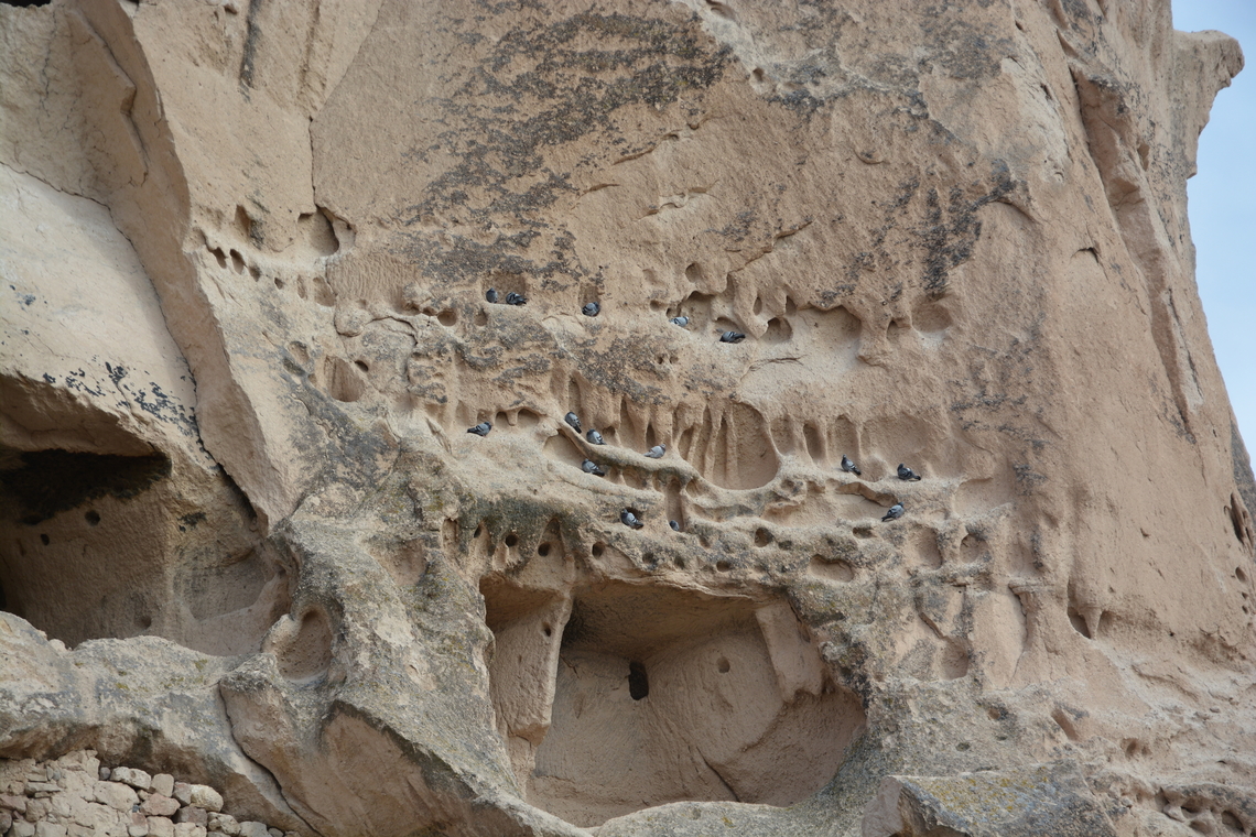 Pigeon house Shelter of pigeon Geotagged,Rock Pigeon,Turkey,Winter,turkey