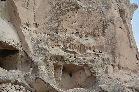 Pigeon house Shelter of pigeon Geotagged,Rock Pigeon,Turkey,Winter,turkey