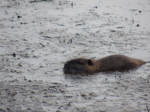 Munch munch...  Geotagged,Italy