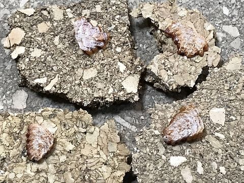 A17F0091-D847-48EE-BE51-B1649BC7C98D  Geotagged,Summer,United States