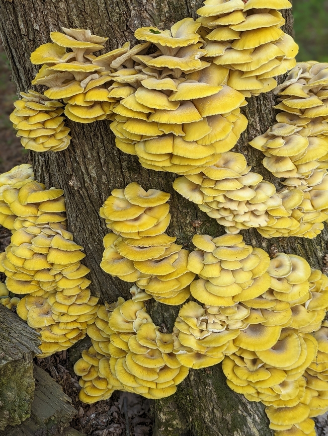 PXL_20220511_222856220.PORTRAIT_