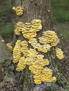 PXL_20220511_222835833.PORTRAIT_