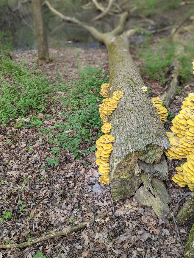 PXL_20220511_222840176.PORTRAIT_