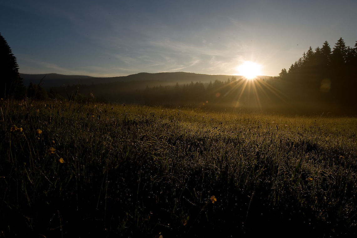 Sunrise Germany Fantastic sunrise photo on the fields of Germany. Germany,Landscapes,Sunrise
