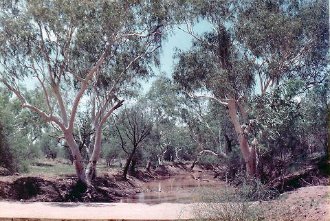 Stuart River. W Australia  Australia,Geotagged