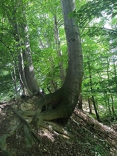 IMG20220716152912