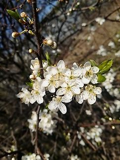 IMG_20200405_131105