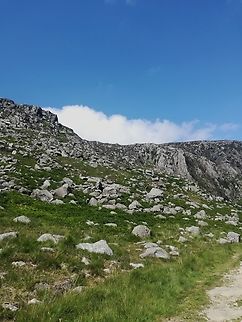 IMG_20190714_151549~2  rocks