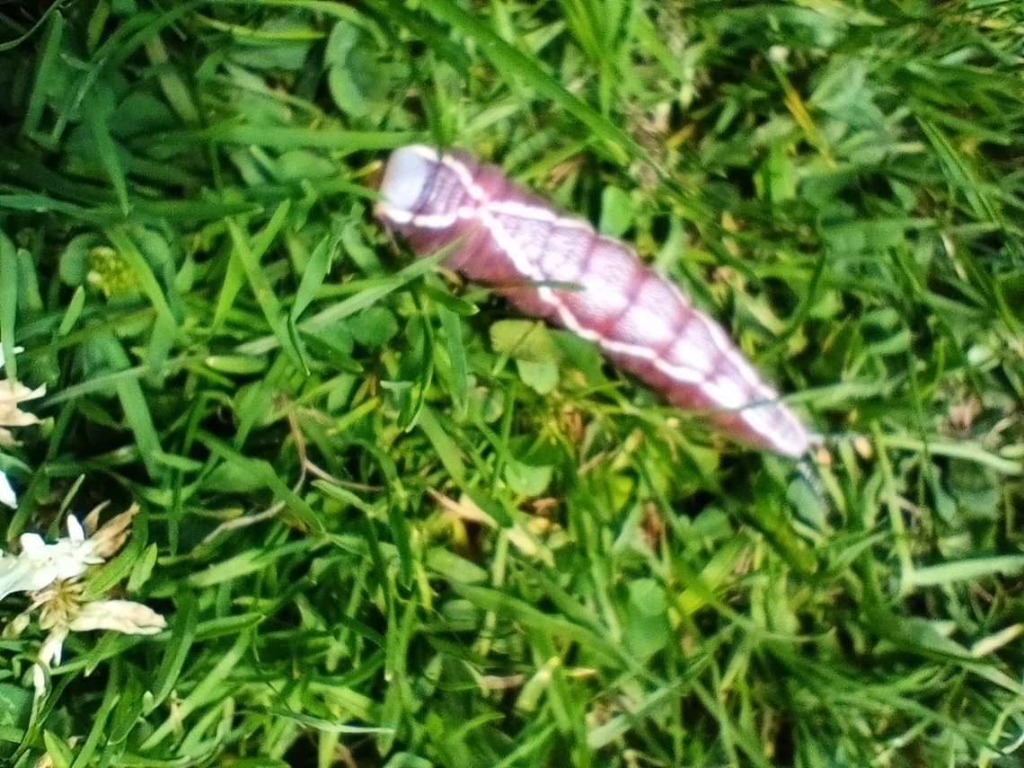 IMG_20220708_125040