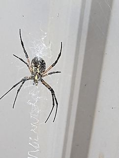 PXL_20221002_211454210.MP_