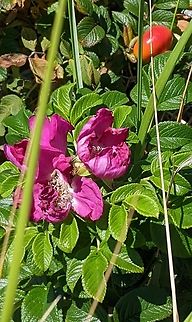 PXL_20220803_172720696~2