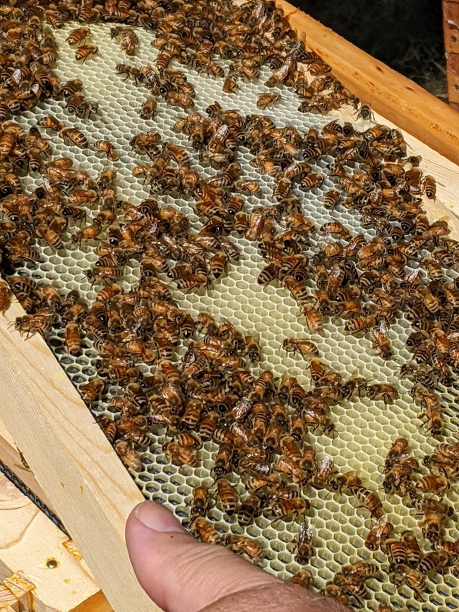 PXL_20220807_172650528