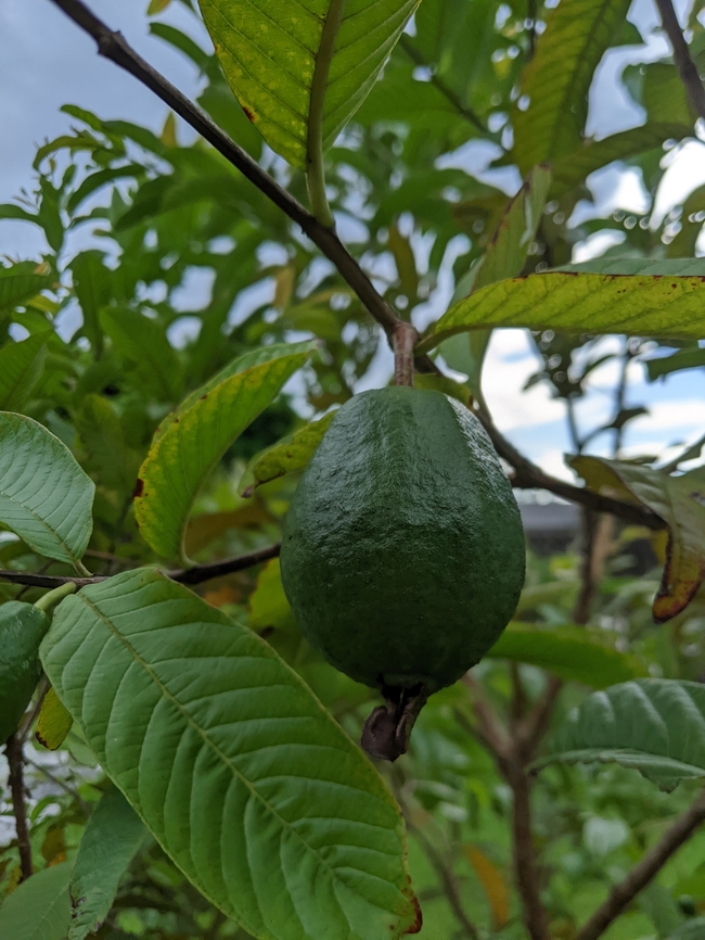 PXL_20220531_215655060