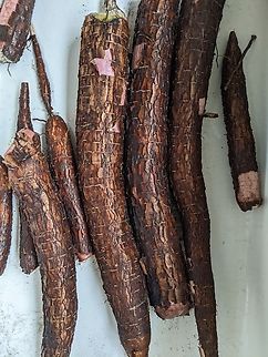 PXL_20220629_161149257