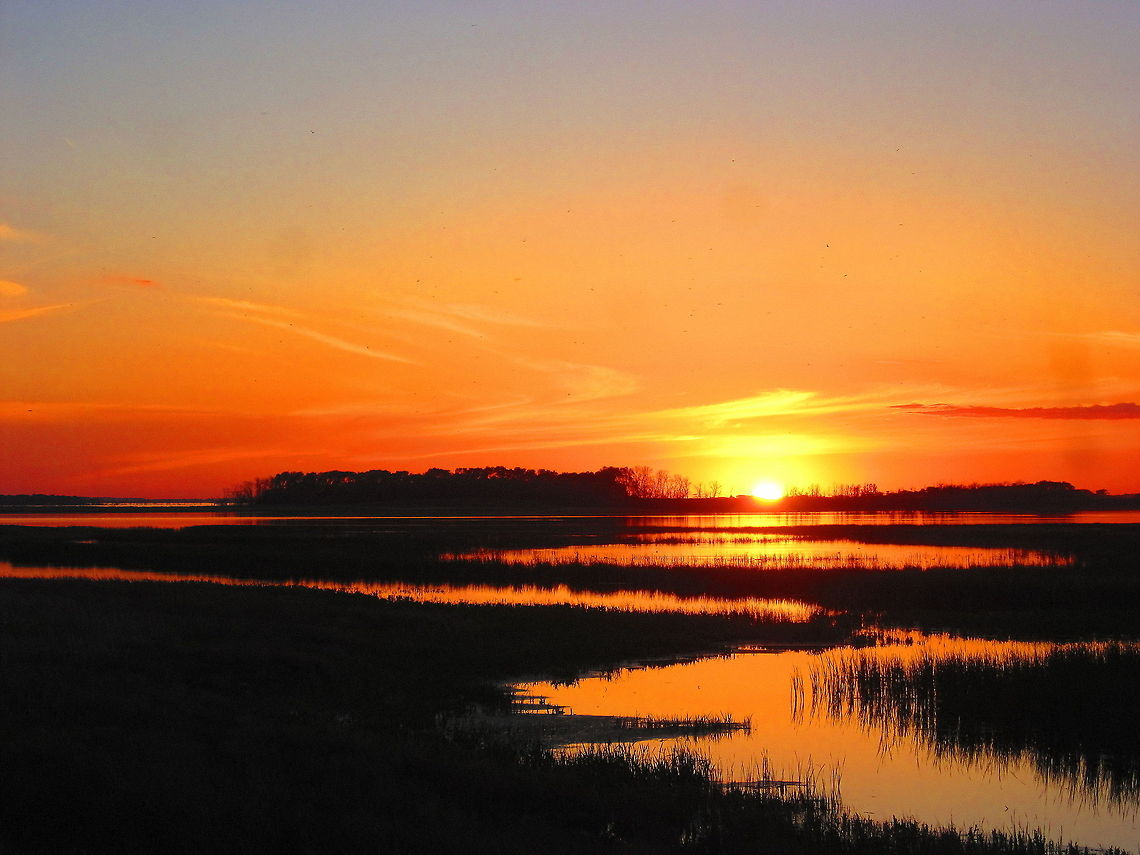 River on a lake The setting sun over Pelican Bay on Devils Lake, North Dakota. The bull rushes growing in the water form a channel of water, representing a river. If you look closely, you will see dozens of hatching adult midges (Chironomidae). The name Devils Lake came about from a misinterpretation between the native Souix tribes and white settlers. The Souix referred to the lake as "Lake of the Spirits", but due to poor communication, white settlers called it Devils Lake. Devils Lake,Geotagged,Landscapes,North Dakota,Sunset,United States