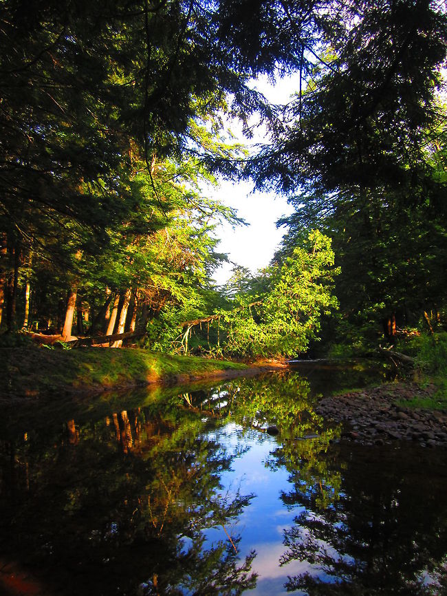 Hideaway The view my pals and I woke up to for four three mornings while camping in the Porcupine Mountains in upper Michigan. Geotagged,Landscapes,Michigan,Summer,United States