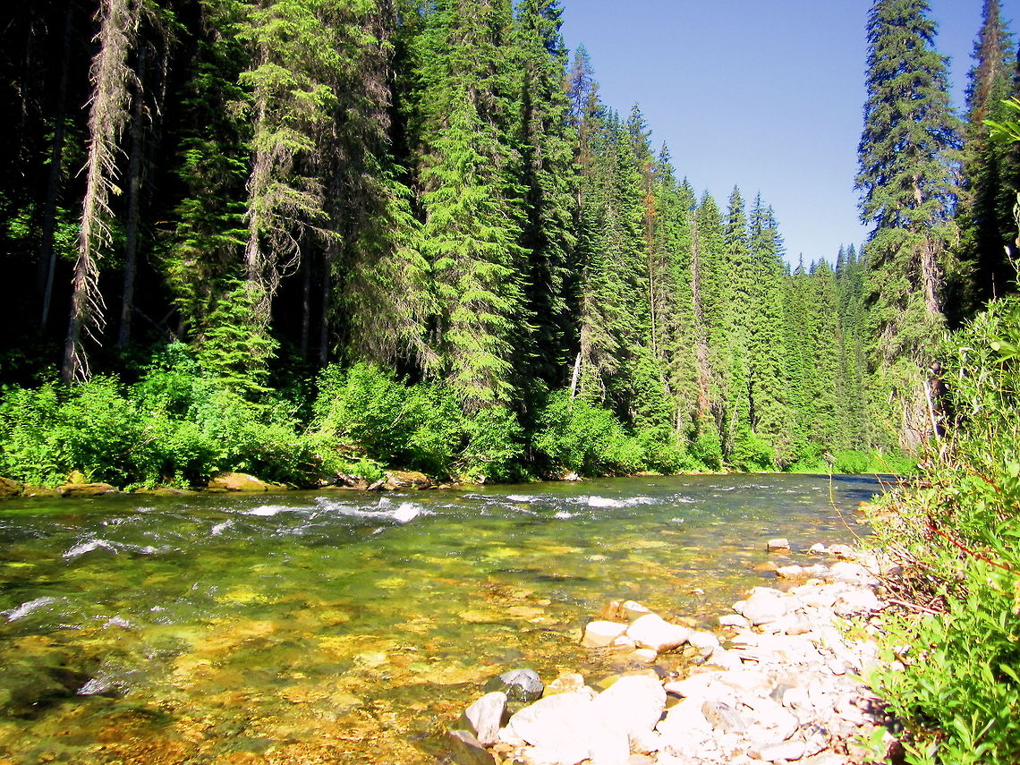 St. Joe River A wall of evergreen trees line the banks of the crystal clear upper St. Joe River, Idaho. I hiked 6 miles to get to this spot on the river. A wild and magical place! Geotagged,Idaho,Landscapes,United States