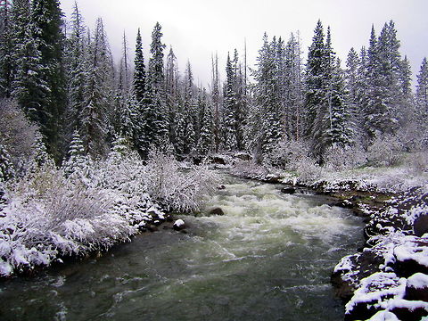 "Winter" Wonderland A beautiful winter scene, captured on 26 May, 2012, of Middle Creek as it flows east out of Yellowstone National Park, Wyoming. Geotagged,Landscapes,United States,Wyoming,Yellowstone National Park,winter