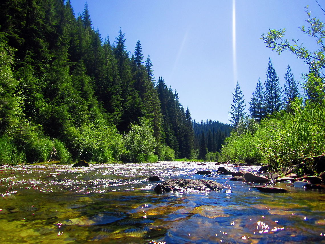 Shimmering Stream The Little North Fork Coeur d&#039;Alene River flows swiftly from its headwaters to the confluence of the North Fork Coeur d&#039;Alene River in northern Idaho. Geotagged,Idaho,Landscapes,National Forest,United States