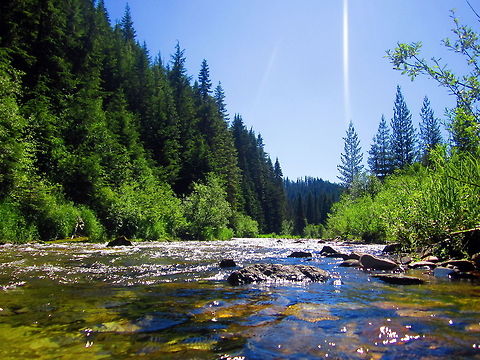 Shimmering Stream The Little North Fork Coeur d'Alene River flows swiftly from its headwaters to the confluence of the North Fork Coeur d'Alene River in northern Idaho. Geotagged,Idaho,Landscapes,National Forest,United States