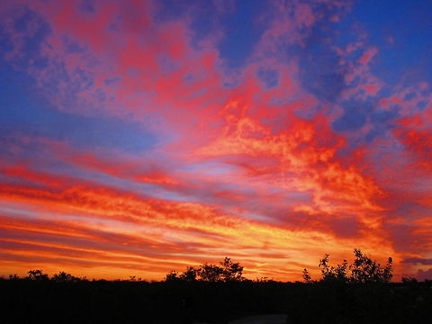 Sugerloaf Key Sunrise The sun rises to begin a new day in the Florida Keys. Florida,Geotagged,Sunrise,United States