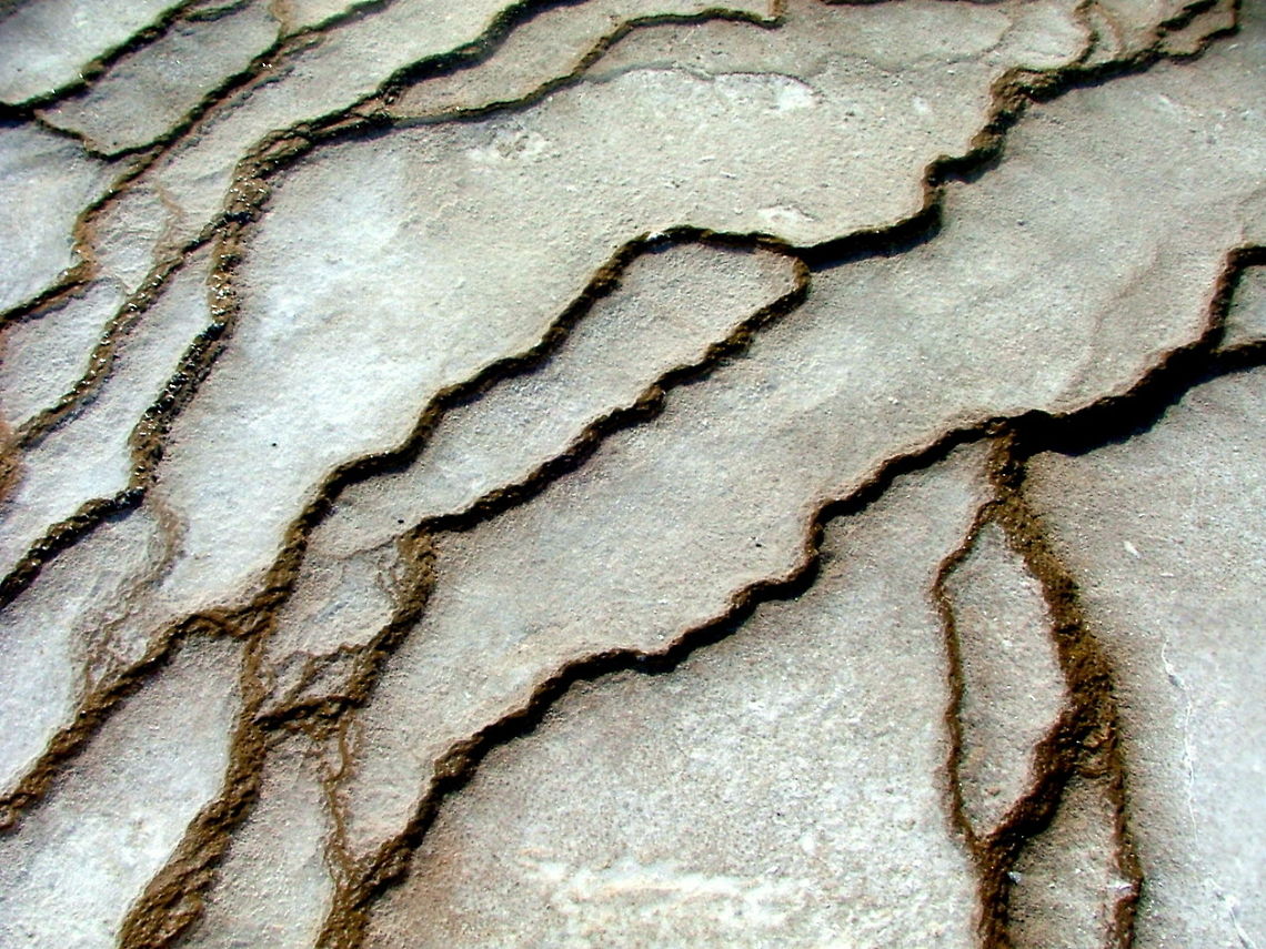 Bacterial Mats A bacterial mat that is growing in the warm waters that over-flow out of the Grand Prismatic Spring in Yellowstone National Park. These bacterial mats may be several layers thick and the type of bacteria and where it grows depends on the water temperature, which is approximately 32-37 degrees Celsius here. Abstract,Bacteria,Geotagged,United States,Yellowstone National Park
