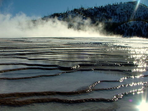 Grand Prismatic Bacterial Mats Bacterial Mats growing from Grand Prismatic Spring outflow in Yellowstone National Park. Bacteria,Geotagged,United States,Wyoming,Yellowstone National Park