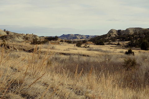 Sand Cliffs A valley in the North Unit of Teddy Roosevelt National Park, North Dakota. Geotagged,North Dakota,Theodore Roosevelt National Park,United States