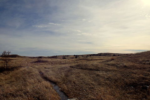 High Plains The high plains of Teddy Roosevelt National Park may look plain, but they are anything but. It is a diverse ecosystem. In this photo alone, one can point out a small burr or scrub oak to the left, several junipers and American elm trees in the background, and many different prairie grasses including big and little bluestem, side oats, etc. Mule deer and bison roam these plains, as well as whitetail deer and coyotes, and there are several prairie dog towns in the area as well. Geotagged,North Dakota,Theodore Roosevelt National Park,United States
