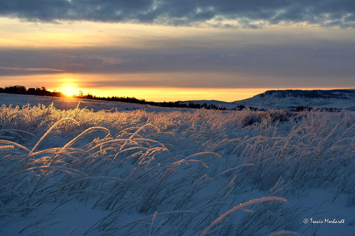 Frosted Sunrise The sun rises and sheds light on a world that has turned to frost overnight. The cold air and frost creates a fairy tale-like scene. Captured in south-central Montana. Geotagged,Landscapes,Montana,United States,frost,sunrise,winter