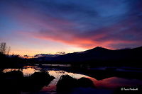 McArthur Lake Sunset - North Idaho We were blessed with a beautiful array of colors as the water of McArthur lake reflected the painted clouds in the sky from the setting sun. Captured from my back yard in north Idaho. Clouds,Geotagged,Idaho,Sunset,United States,Winter,landscapes