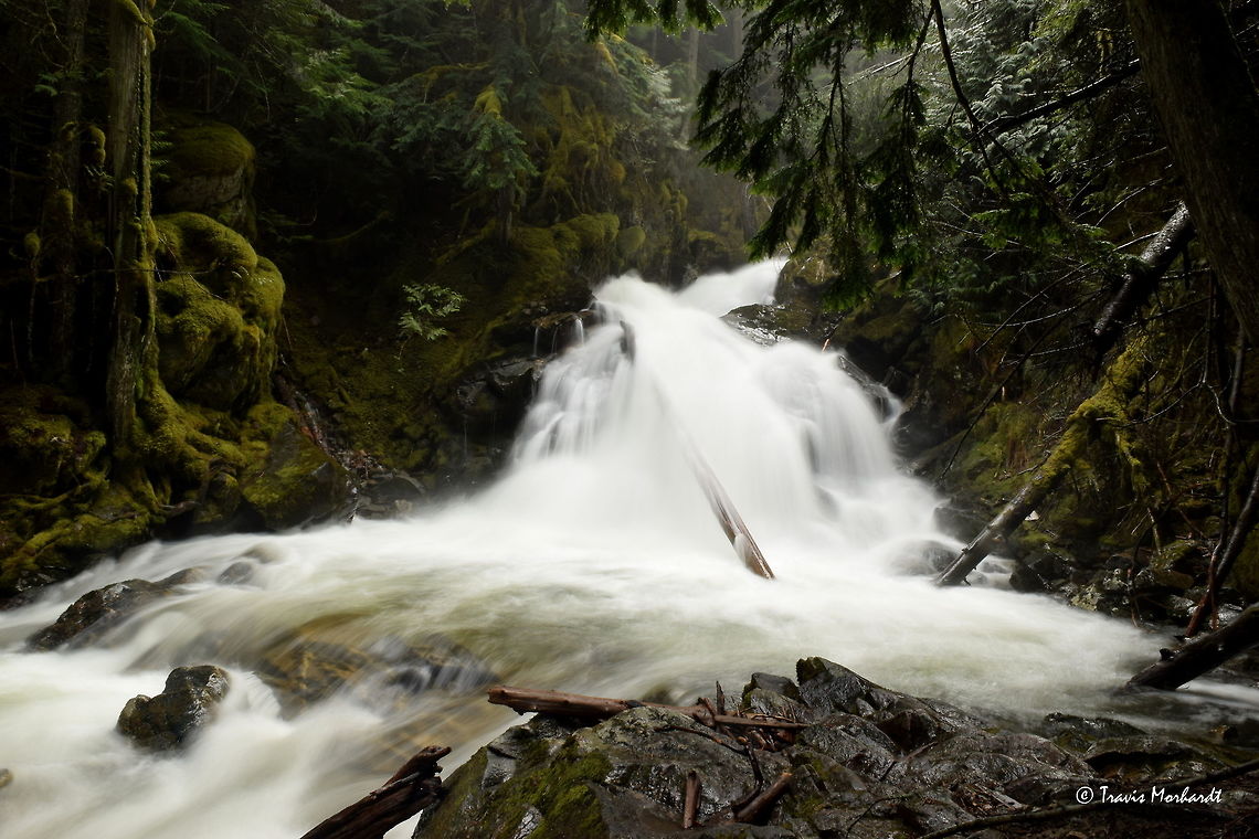 Lower Snow Creek Falls This is the lower falls on Snow Creek. It is just downstream a few hundred meters of the Upper Snow Creek Falls, which I have uploaded photos of as well. Captured in north Idaho. Geotagged,Idaho,Spring,United States,waterfall