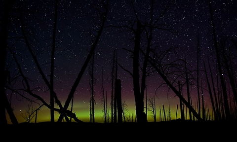 Northern Lights in Yellowstone National Park The aurora borealis viewed from Lake Butte lookout along the eastern shores of Yellowstone Lake in Yellowstone National park. One of the more memorable natural phenomenon I have viewed since I have been photographing. Geotagged,Night,Summer,United States,Wyoming,Yellowstone National Park,aurora borealis,northern lights