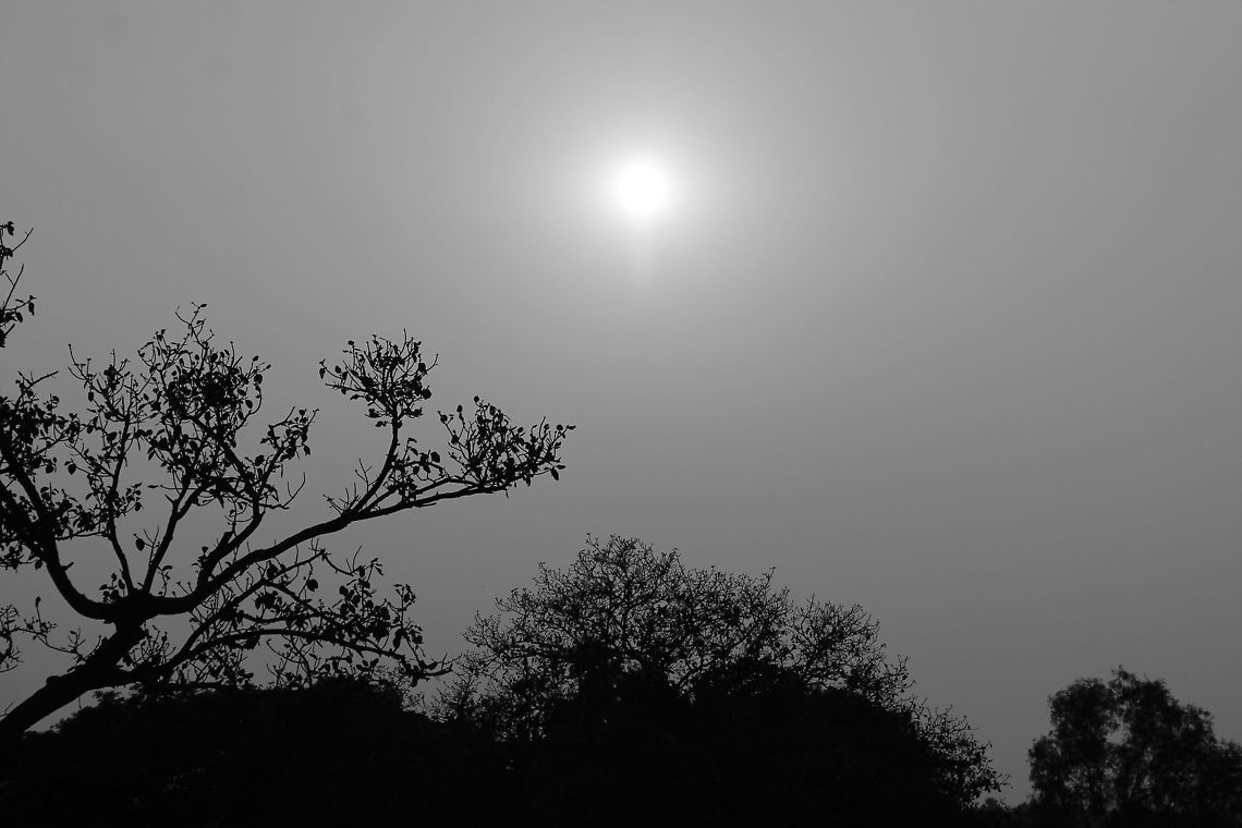 landscape Tried something new apart from wildlife :) trees