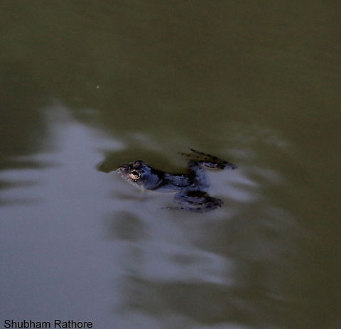 In the water :)