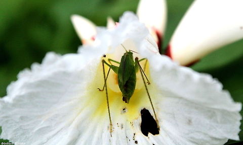 Its feeding time :)  Geotagged,India