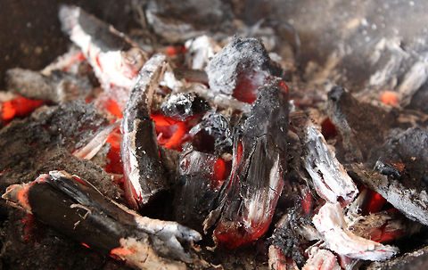 And Then There Were None Wood Ash after a Yagna. Just trying to display the beauty of a most commonly known residue of combustion. Geotagged,India
