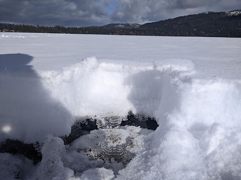 needle ice Needle ice had formed under the snow.  The ice had formed in the mud flats at the edge of a reservoir.  There had been a couple weeks of nighttime temperature around zero degrees.   needle ice