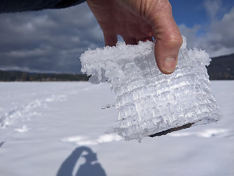 needle ice I pulled this needle ice from the base of the snow, and it had frozen in the mudflats at the edge of a reservoir.  Geotagged,United States