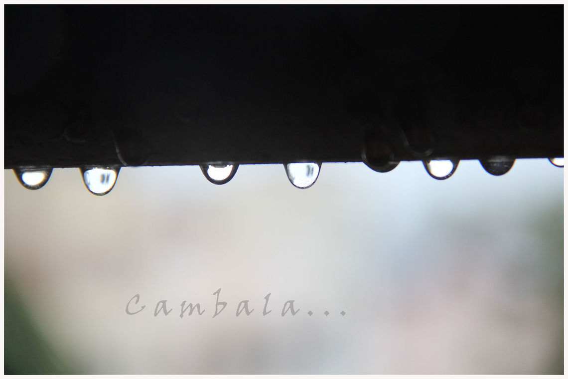 IMG_3497 every drops become a sea... Raindrops