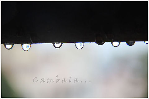 IMG_3497 every drops become a sea... Raindrops