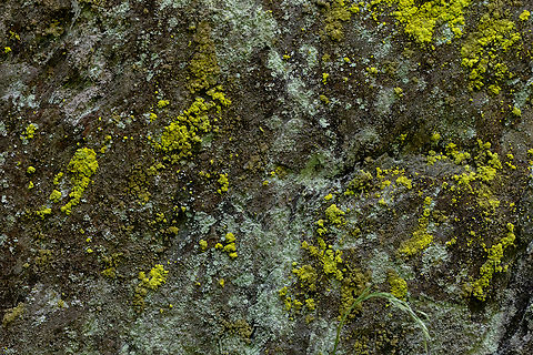 Camouflage at its best (Where's Wally?) I was preparing some pictures for upload today from our summer holidays in Piemont and South Tyrol. I thought I'd start with this example of &ldquo;hiding in plain view&rdquo;.  Geotagged,Italy,Summer