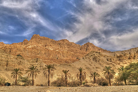 Hot desert (Judean Desert) A beautiful shot of the Judean Desert in Israel. The landscape is composed of palm trees, and impressive mountain ranges. Geotagged,Judean Desert,Palm tree,Spring